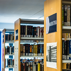 Ayuntamiento de Zaratán - Instalaciones culturales